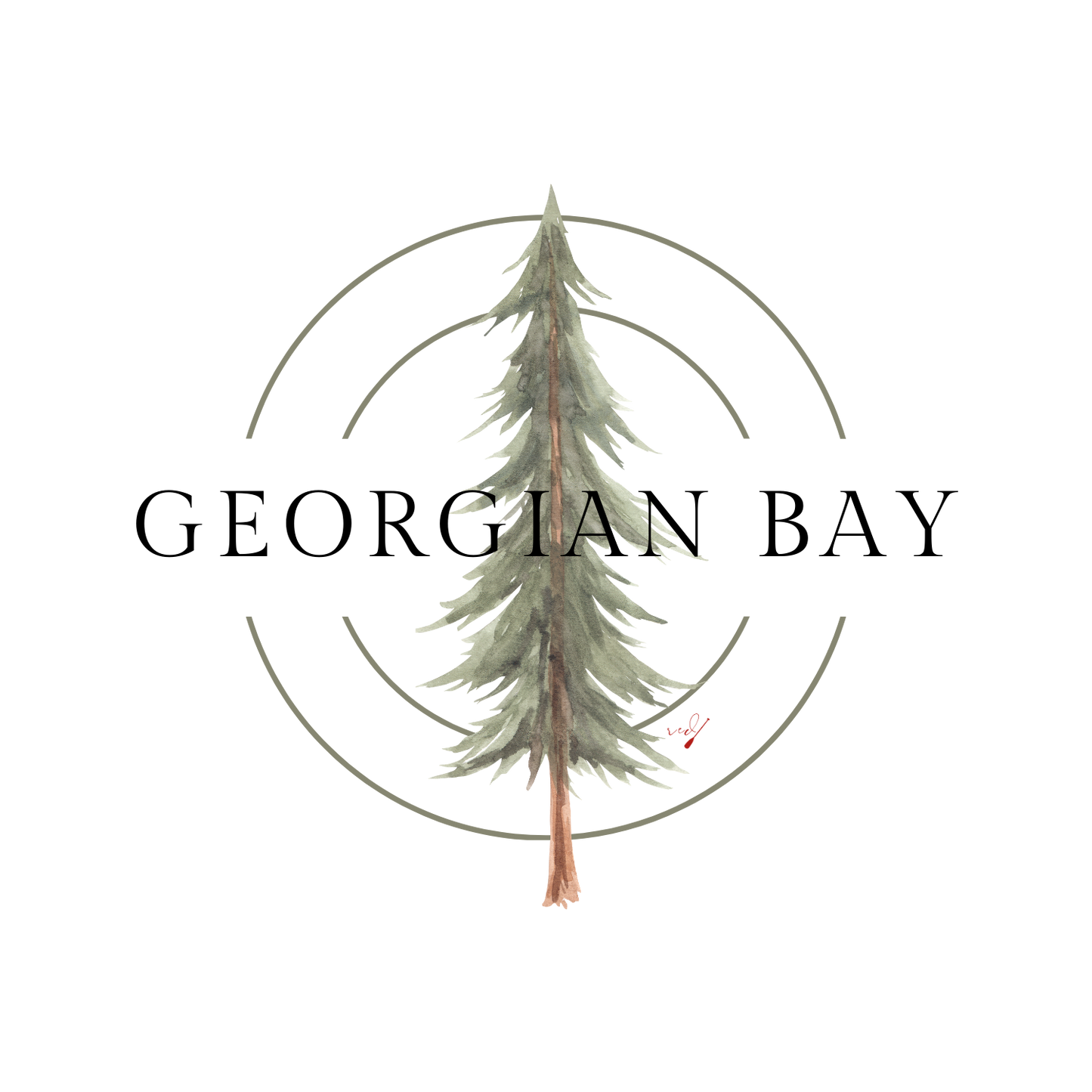Georgian Bay Pine Circle T-Shirt