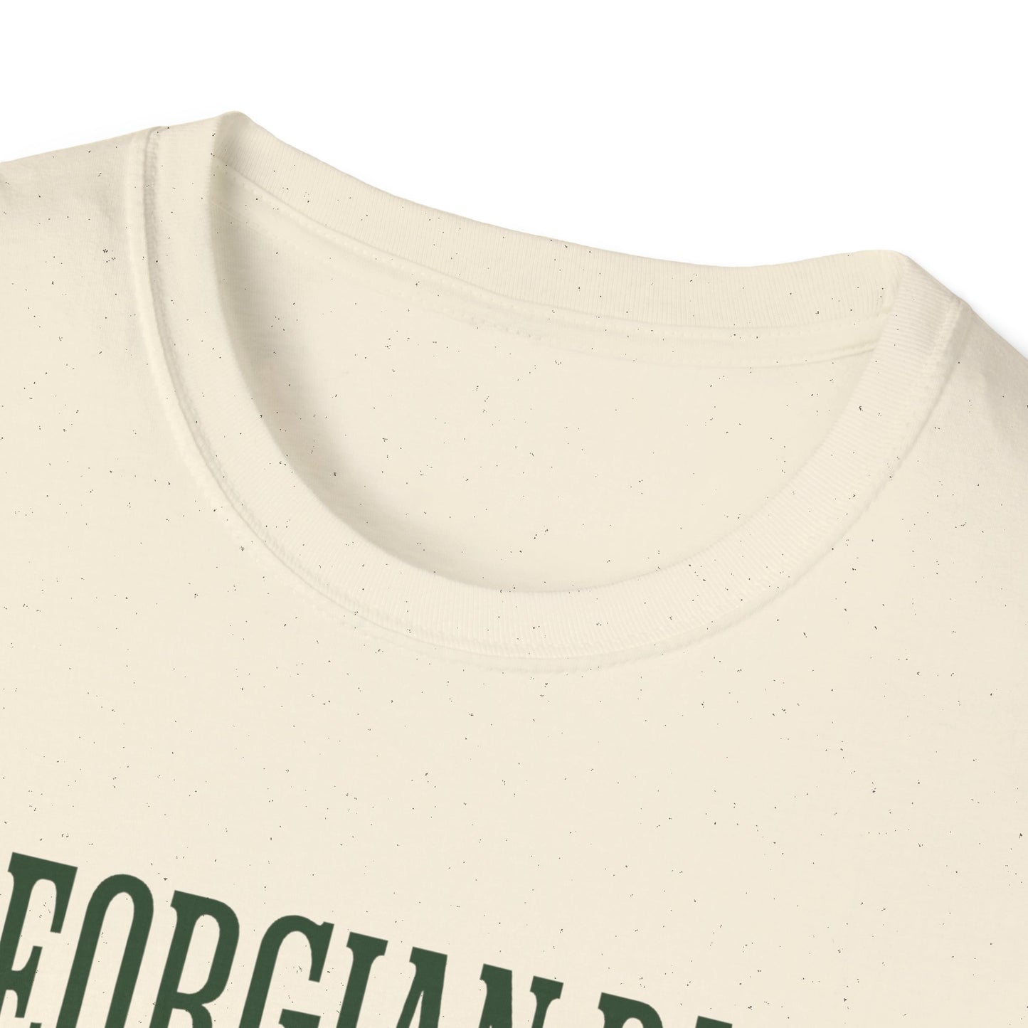 Georgian Bay Camper Van T-Shirt