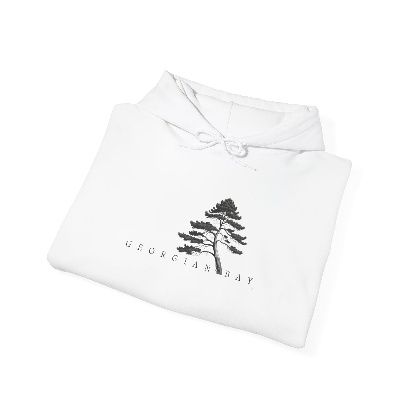 Georgian Bay Drift Hoodie