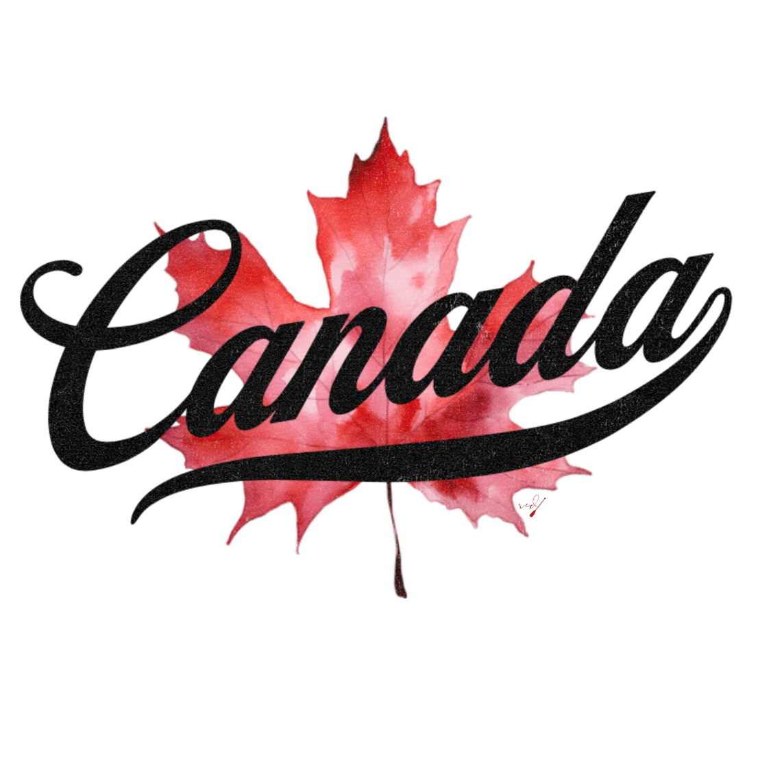 Canada Script Maple Leaf Hoodie