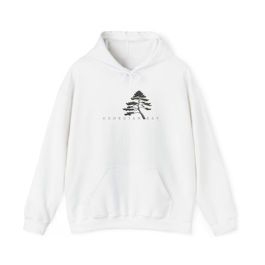 Georgian Bay Drift Hoodie