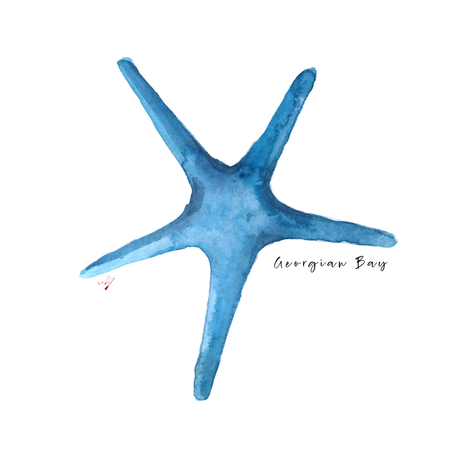 Georgian Bay Shiny Star T-Shirt